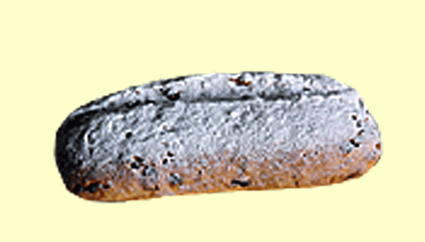 Stolle